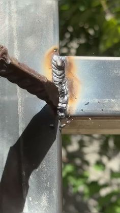 a bird perched on top of a metal pole next to a tree branch with rust