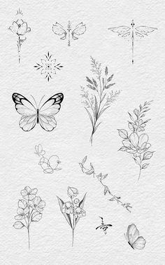 various flowers and butterflies drawn on paper