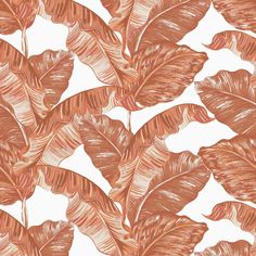 Terracotta Tropical Wallpaper Banana Tree Wallpaper, Terracotta Wallpaper, Banana Leaf Print, Banana Tree, Marble Wallpaper, Wallpaper Rolls, Tree Wallpaper, Bathroom Inspo, Unique Wallpaper