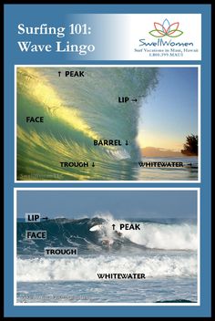 the surfing 101 wave lingo poster is shown in three different colors and features waves