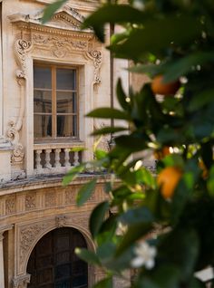 an orange tree in front of a building with balcony and balconies on the second floor