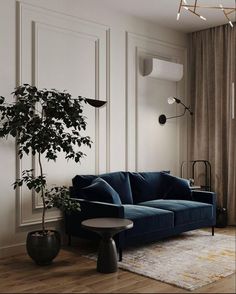 a living room filled with furniture and a plant