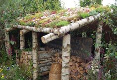 an outdoor area with logs and plants growing on it's roof, surrounded by greenery