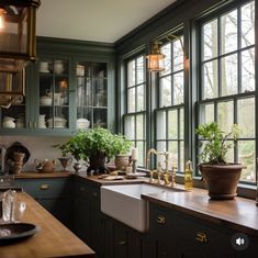 a kitchen filled with lots of counter top space next to a window covered in potted plants