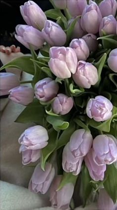 a bouquet of pink tulips with green leaves