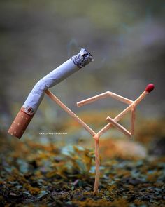 Indian Artist Shows The Secret Life Of Matchsticks Match Stick Art, Miniature Photography, Fire Image, Stick Art, Match Stick, Indian Artist, Anything Is Possible, Secret Life, Lock Screen