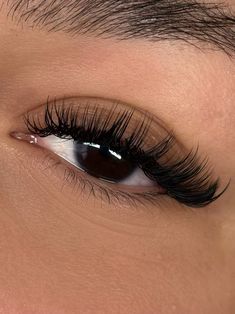 Hybrid | Classic | Cat eye | Natural | Volume | Classic Eyelash Extensions | Hybrid Eyelash Extensions | Volume Eyelash Extensions | Natural Lash Maps | Hybrid Lash Maps | Volume Lash Maps | Open Eye Lash Maps | Doll Eye Lash Maps | Eyelashes | Lash Tech | Lash Technician | Eyelash Tech|Doll eye lashes | Doll eye lash extensions | Doll eye map | Lashes | Lash extensions styles | Lash extensions mapping styles | Lash extensions natural | Lash extensions ideas | Lash extensions styles natural Double Classic Lashes, Wispy Volume Lashes Extensions, Eyelash Extensions Styles For Round Eyes, Hybrid Angel Lashes, Almond Eye Eyelash Extensions, Cat Eyelashes Extensions, Hybrid Lash Extensions Styles Doll Eye, Lash Extensions Wispy Cat Eye, Lashes Extensions Hybrid