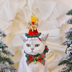 a white cat wearing a christmas hat and bow tie