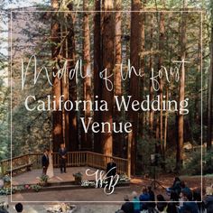 the wedding venue in california is surrounded by tall trees and people standing around it with their names on them