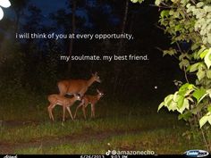 two deer standing next to each other on a field at night with the caption, i will think of you at every opportunity, my soulmate