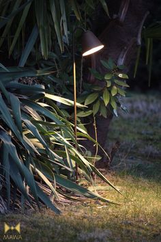 a lamp that is sitting in the grass