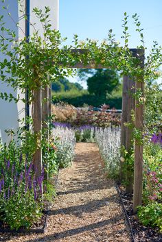 a garden with lots of flowers and plants growing on the side of it's walls