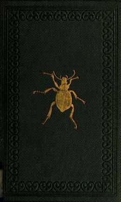 a book with an image of a beetle on it's cover, in gold