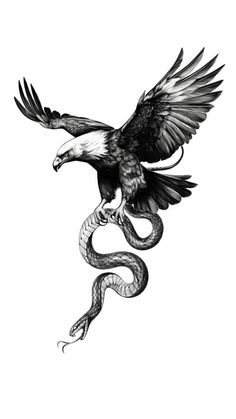 an eagle with a snake wrapped around it's neck, flying through the air