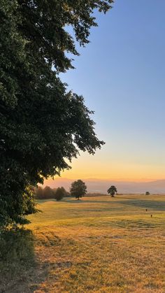 the sun is setting over an open field with trees in the foreground and distant mountains in the distance