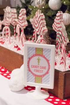 candy cane forest displayed in wooden boxes on red and white tablecloth