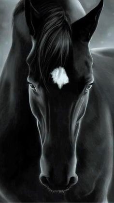 a black horse with a white feather on it's forehead in the night sky