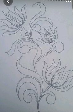 a drawing of a flower with swirls and leaves on it's back side