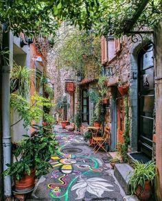 an alleyway with potted plants and flowers painted on the pavement in front of it