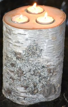 three lit candles sitting on top of a piece of birch tree bark in the shape of a candle holder