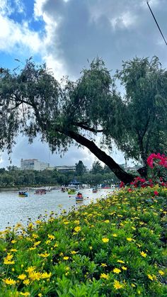 boats are in the water near some trees and flowers