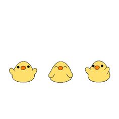 three little yellow chicks sitting next to each other