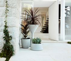 three potted plants in front of a white house with stone walls and flooring