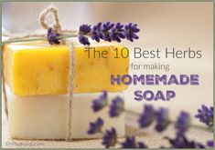 the 10 best herbs for making homemade soap