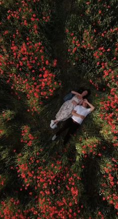 two people are laying in the middle of red flowers