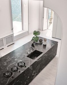 a black marble counter top with two sinks and a potted plant in the middle