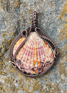 Self collected Beautiful Natural Calico Scallop Sea Shell Pendant wrapped in handwoven Copper with Crystal accent beads. Calico Scallop, Wire Bracelets Diy, Mathematics Art, Wire Wrapped Jewelry Pendant, Wire Wrapped Stone Jewelry, Seashell Jewelry, Wire Wrapping Stones, Pendent Necklace, Shell Jewelry