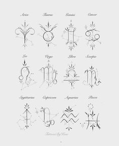 an image of zodiac symbols and their meanings