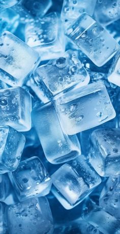 ice cubes with water droplets on them are seen in this close up image photo