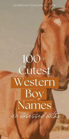 a horse with the words, 100 + cute western boy names in possession