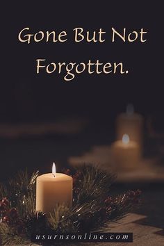 a lit candle sitting on top of a table next to pine cones and evergreen branches