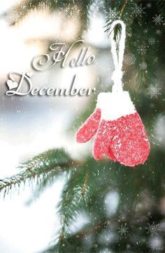 a christmas ornament hanging from a tree with the words hello december written on it