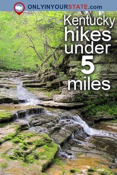 the cover of kentucky hikes under 5 miles, with moss growing on rocks and water flowing