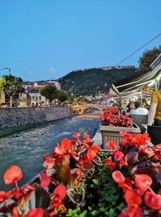 people are standing on the side of a river with red flowers in front of them