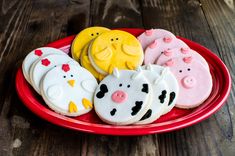 decorated cookies in the shape of farm animals on a red plate with wooden table background