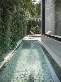 an indoor swimming pool surrounded by greenery and glass tiles in front of a large window