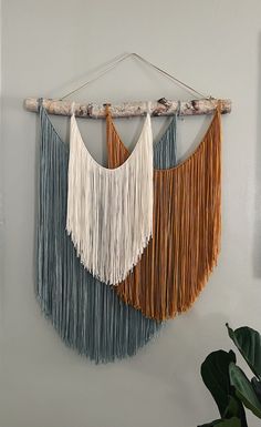 the wall hanging is decorated with two different colored fringes and a plant in front of it