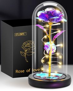 a rose in a glass dome with lights on the base and an open box behind it