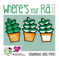 there are three potted plants with the words where's your rad?