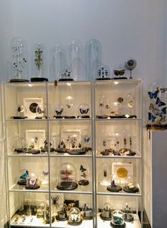 a display case filled with lots of glass vases and other decorative items on top of shelves