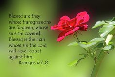 Romans 4:7–8, Blessed are those     whose transgressions are forgiven,     whose sins are covered. Blessed is the one     whose sin the Lord will never count against them. Romans 4, Romans 3 23, Righteousness Of God, Bible Truths, Single Red Rose, Blessed Are Those, Godly Man, Bible Truth, Jesus On The Cross