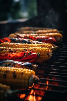 corn on the cob being grilled with hot coals