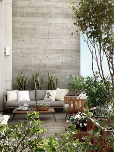 an outdoor living area with couches and potted plants