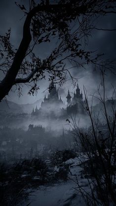 an image of a foggy forest with castle in the distance and birds flying around