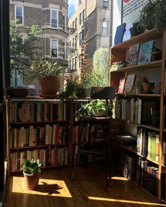 a room filled with lots of books and plants