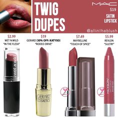 Mac Twig Lipstick, Mac Twig, Lip Stains, Minimalist Makeup, Lip Color Makeup, Makeup List, Lots Of Makeup, Makeup Swatches